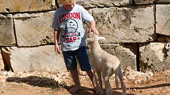 Finca Can Pere Rei: Kinder  - Tiere - Freizeit