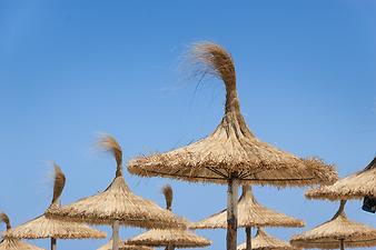 a b: Strand Platja de Sa Coma