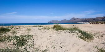 Strand Son Serra de Marina: Son Serra de Marina