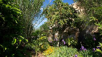 Finca Es Pla de Llodra: Garten