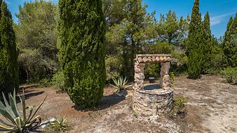 Finca Casa Ses Anyanes: der Brunnen