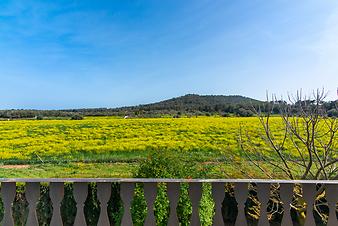 Finca El Palmeral: Blick in die Landschaft