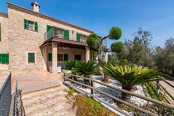 Finca Son March: Terrasse