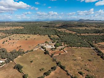 Finca Son Galileu: DJI_0544.JPG