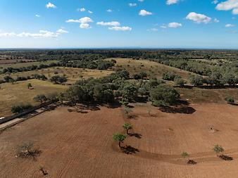 Finca Son Galileu: DJI_0551.JPG