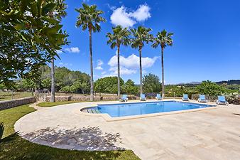 Finca Can Cremat: Terrasse mit Palmen