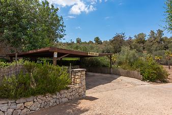 Finca Sa Sinia: Carport