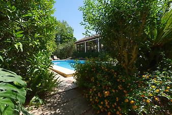 Finca Can Casta: Pool